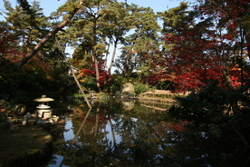 写真：市島邸の庭と紅葉