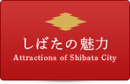 しばたの魅力　Attractions in Shibata City