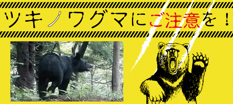 ツキノワグマにご注意を
