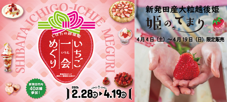 しばたの越後姫　いちご一会めぐり　参加点をめぐって美味しい越後姫と出会おう　2026.2.28（土曜日）〜4.19（日曜日）　新発田市内40店舗参加！ 新発田産大粒越後姫　姫のてまり　4月4日（土曜日）～4月19日（日曜日）限定販売
