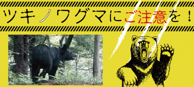 ツキノワグマにご注意を！