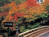 写真：加賀市　山中温泉の紅葉
