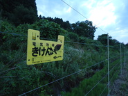 写真：米倉地区の電気柵1