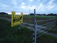 写真：米倉地区の電気柵2