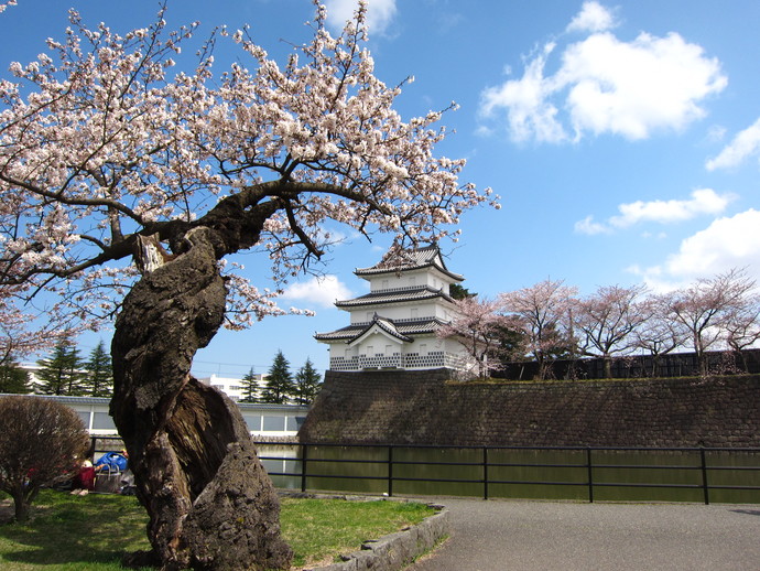 城址公園桜まつり