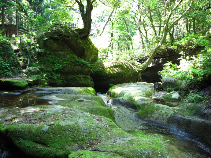 荒川剣龍狭