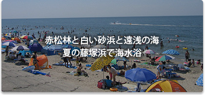 赤松林と白い砂浜と遠浅の海　夏の藤塚浜で海水浴