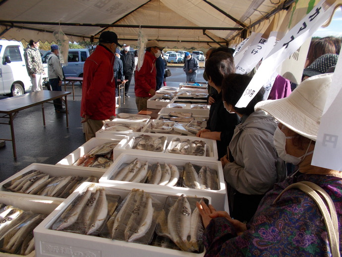 令和7年のさかなの特売会の様子