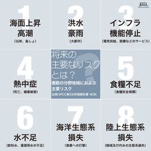 気候変動による将来の主要なリスクの図