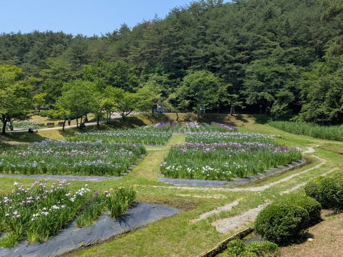 6月20日現在の状況です。