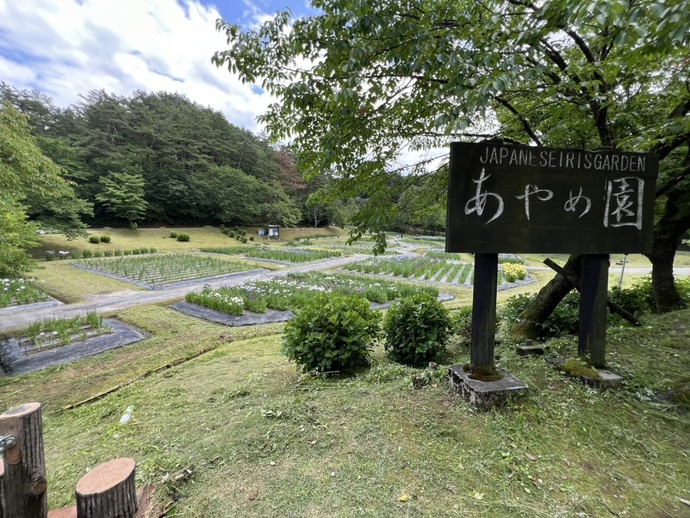 6月10日現在の開花状況です。