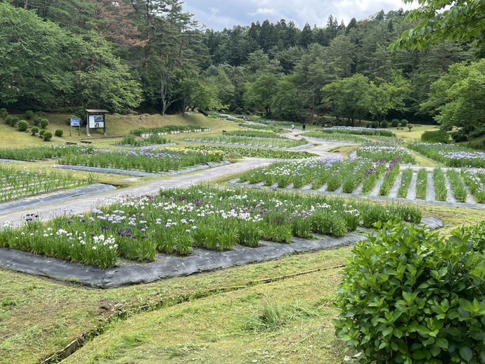 6月10日現在の状況です。