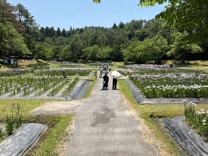 6月15日現在の状況です。
