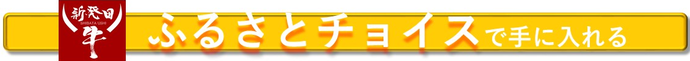 ふるさとチョイスで手に入れる（外部リンク・新しいウインドウで開きます）