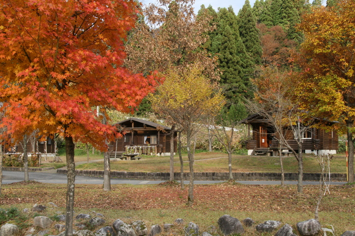 写真：秋の滝谷森林公園
