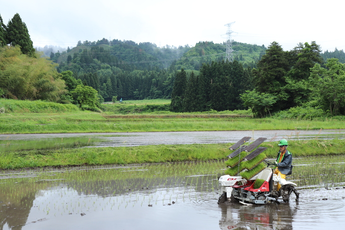 田植風景