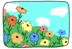 百日草イラスト