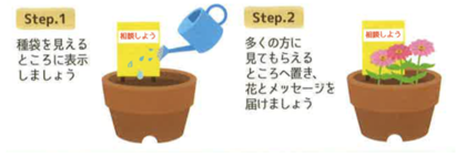 百日草栽培時のポイント
