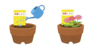 百日草栽培時のポイント