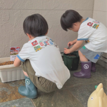 百日草の様子