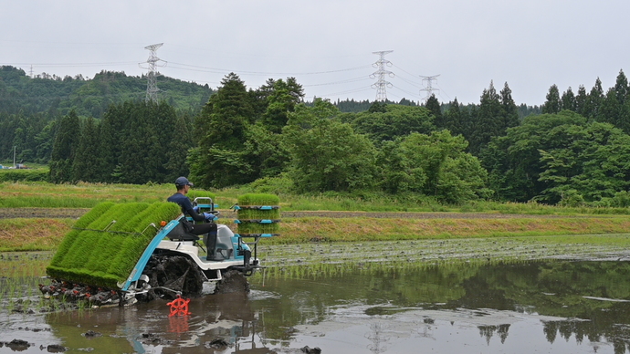 田植風景