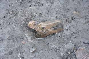 展示資料（軒丸瓦-新発田城跡）