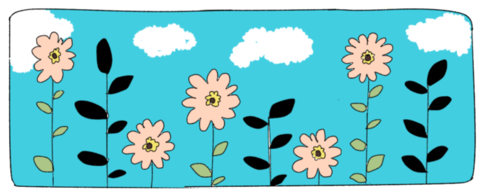百日草イラスト