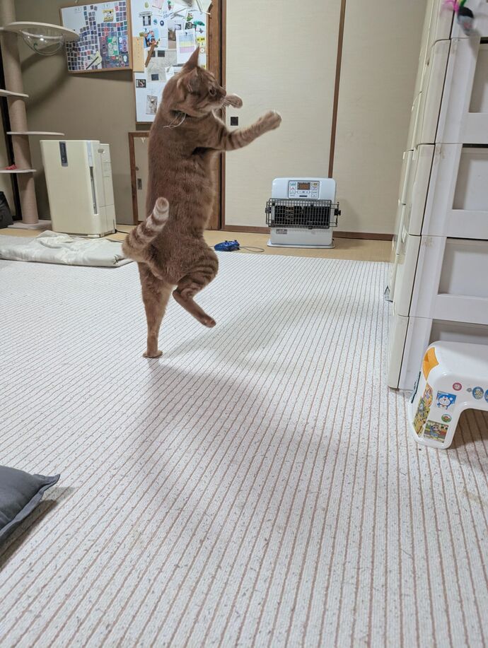 ふるさと新発田賞受賞作品