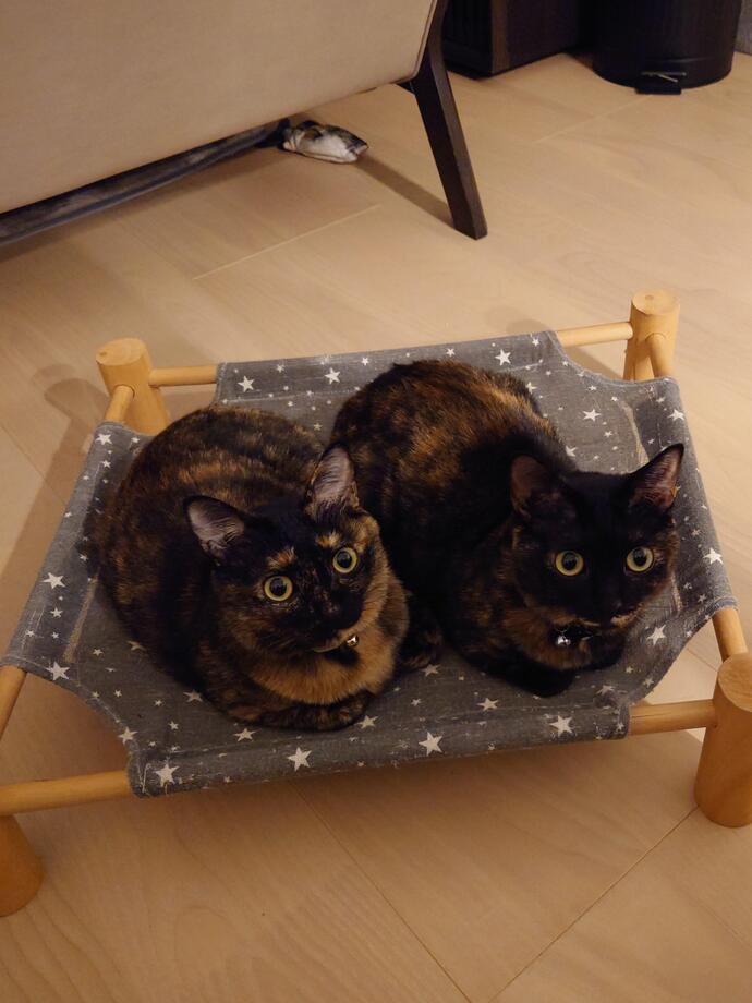 ふるさと新発田賞受賞作品