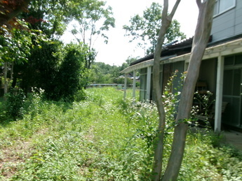 R7-3 庭