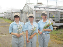 切り花写真