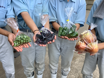 野菜写真