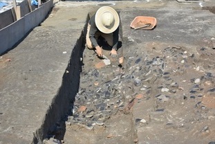 まとめて捨てられた瓦などの検出状態（西から）の写真