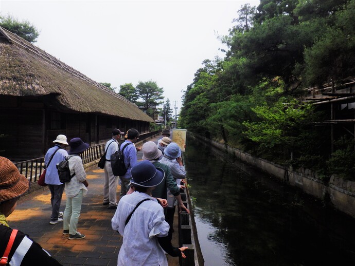 清水谷付近を散策