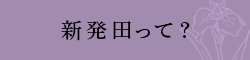 新発田って？