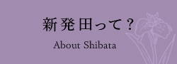 新発田って？