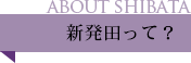 新発田って?
